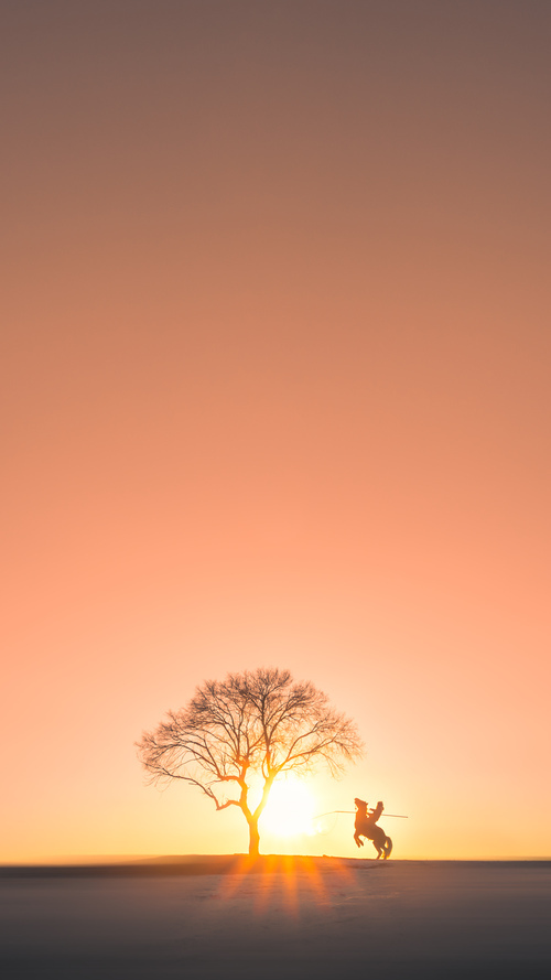 全国青少年硬地排球锦标赛精彩纷呈,全国青少年硬地排球锦标赛精彩纷呈